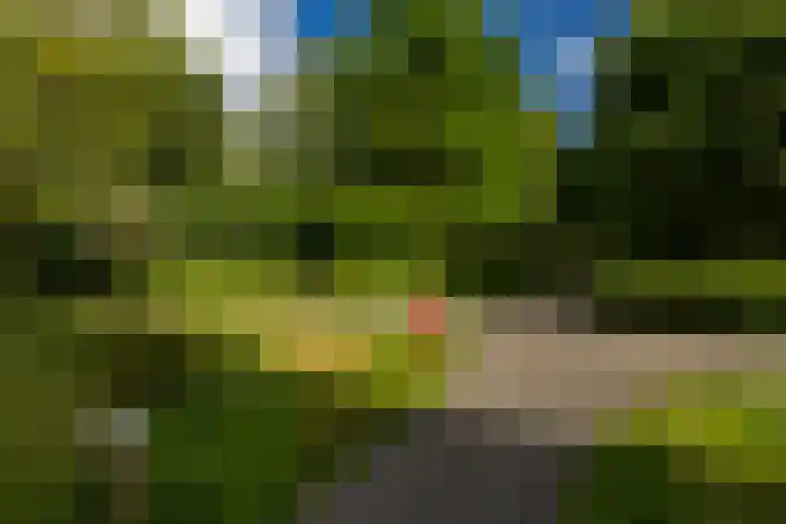 Maria Dermoutlaan 82 Groningen thumbnail 21