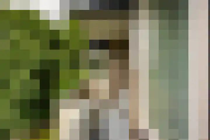 Maria Dermoutlaan 82 Groningen thumbnail 9