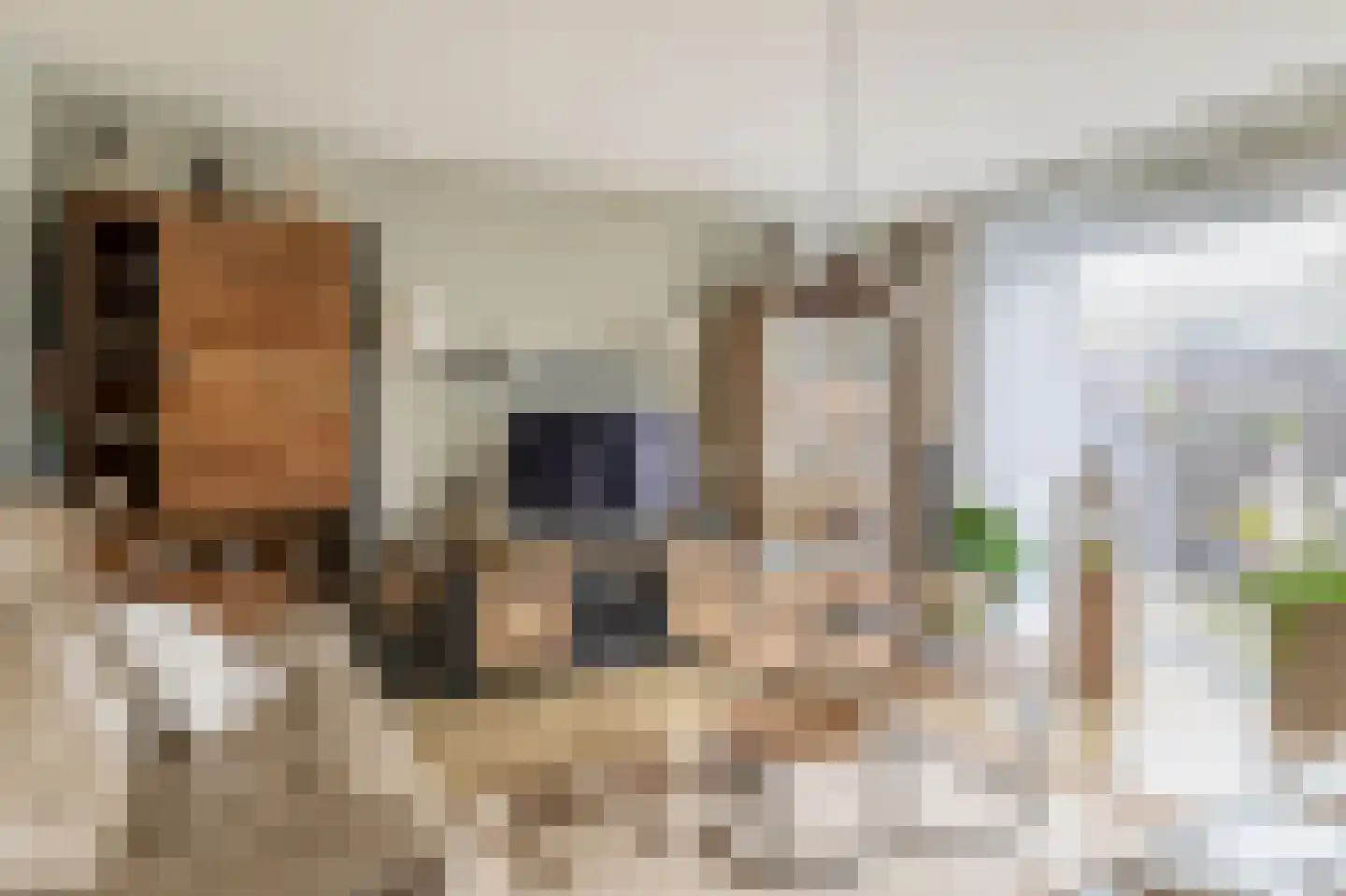 Maria Doorman-Kielstrastraat 51 Spijkenisse thumbnail 11