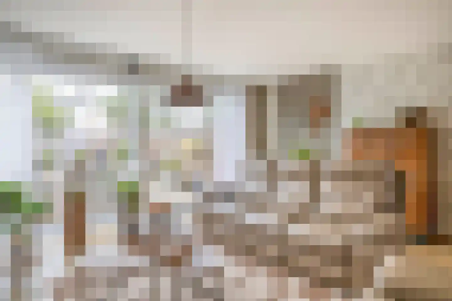 Maria Doorman-Kielstrastraat 51 Spijkenisse thumbnail 13