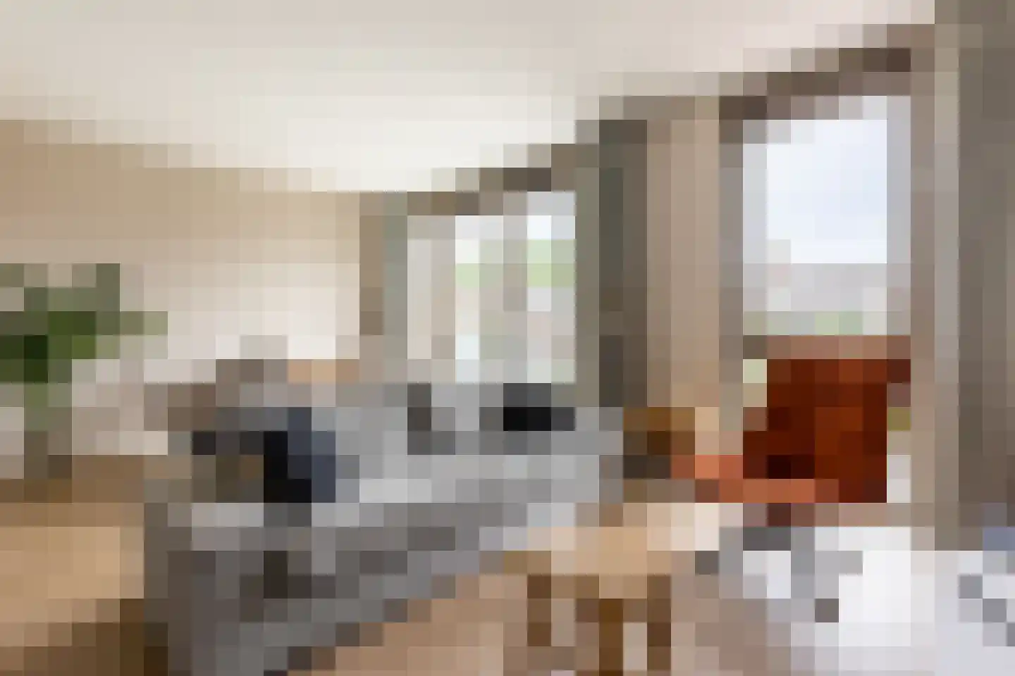 Maria Enzersdorflaan 1 d Bergschenhoek thumbnail 11