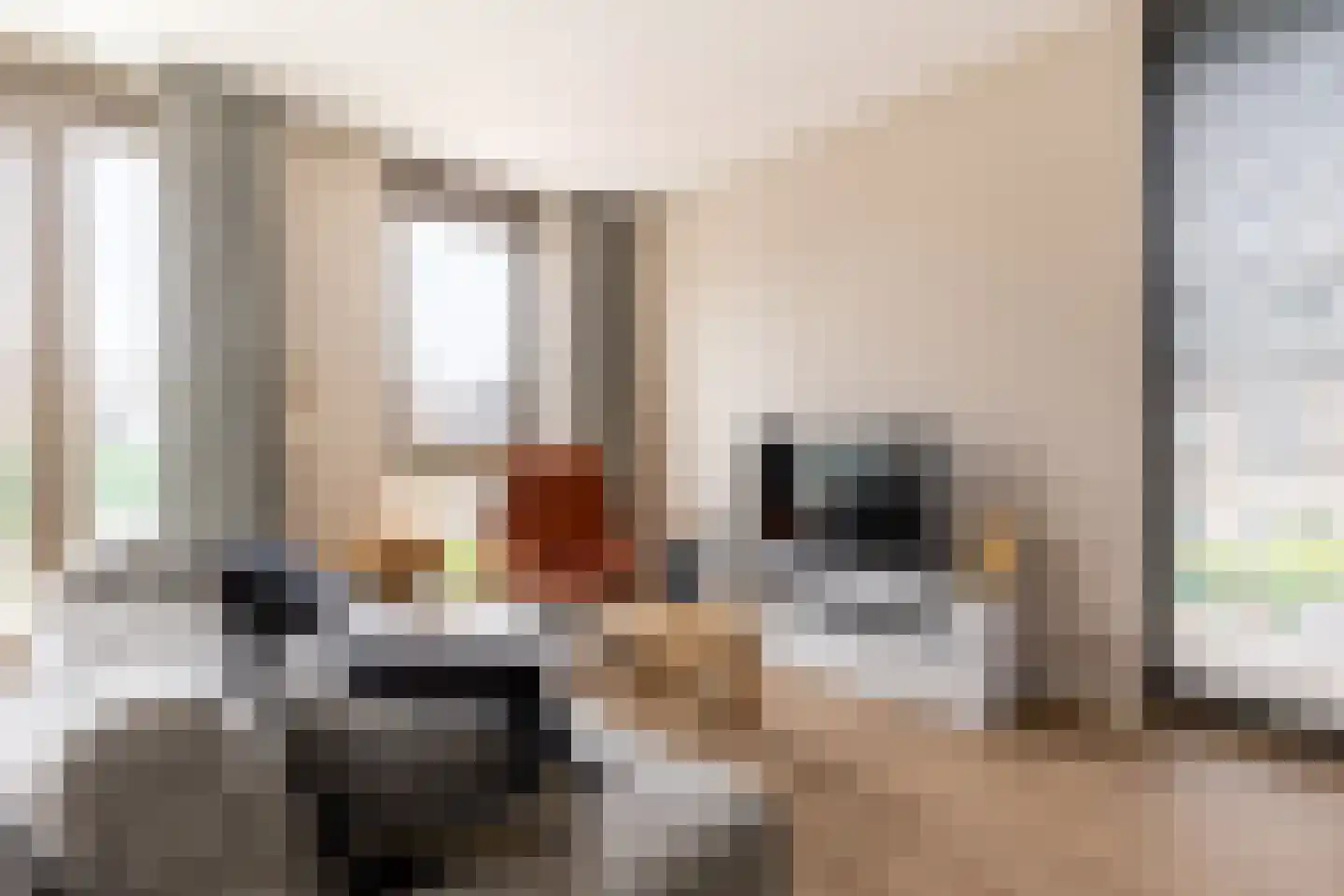 Maria Enzersdorflaan 1 d Bergschenhoek thumbnail 7