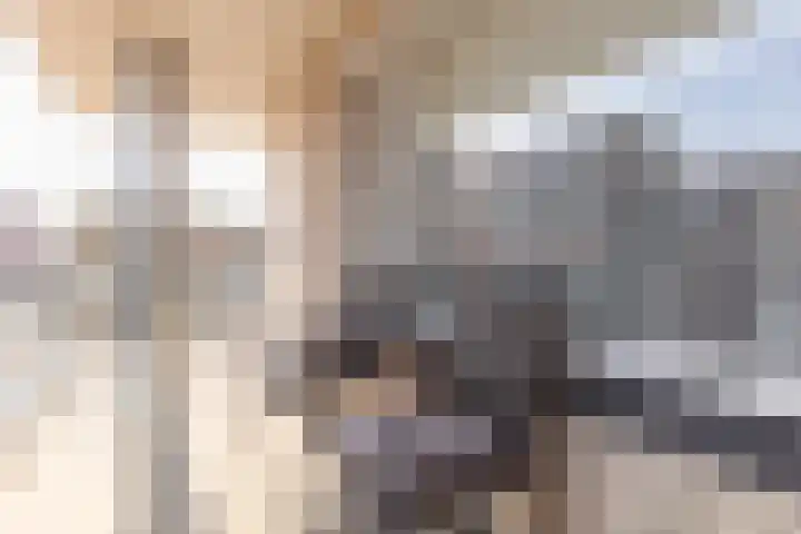 Maria Gorettiplein 8 Kerkrade thumbnail 10