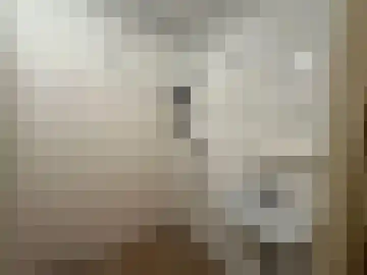 Maria Gouweloospoort 28 Delft thumbnail 11