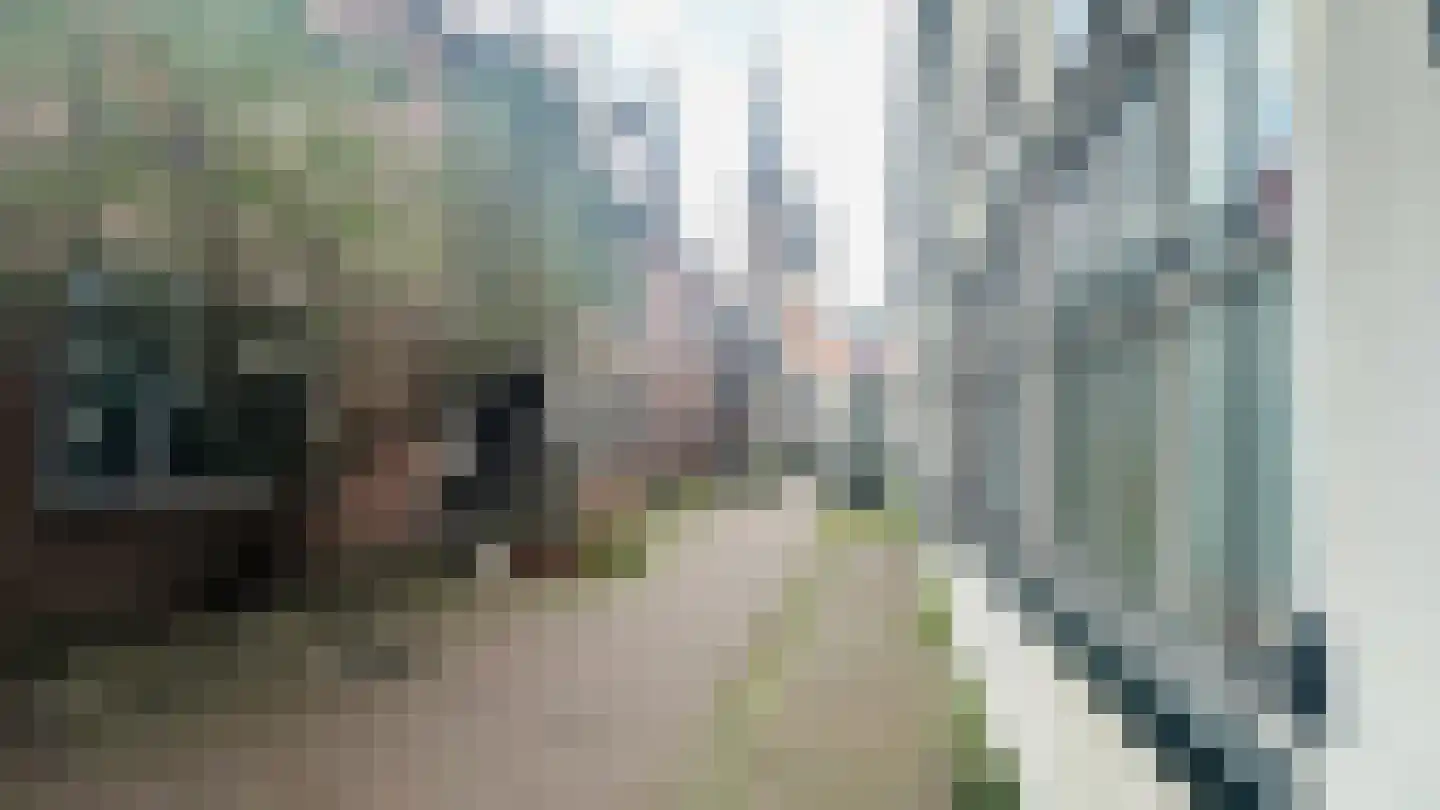 Maria Gouweloospoort 28 Delft thumbnail 15