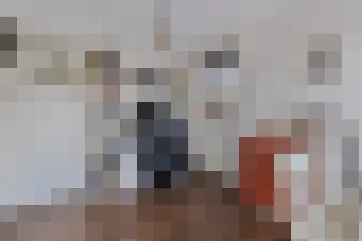 Maria in Campislaan 115 Assen thumbnail 19