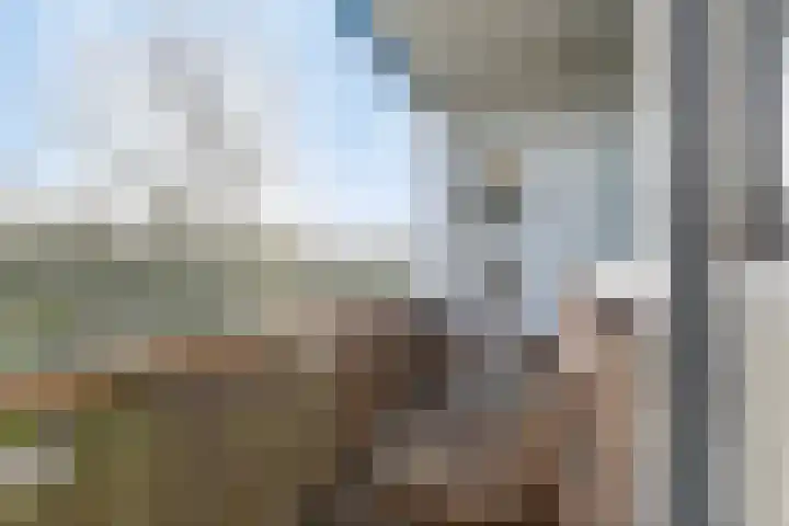 Maria in Campislaan 115 Assen thumbnail 20