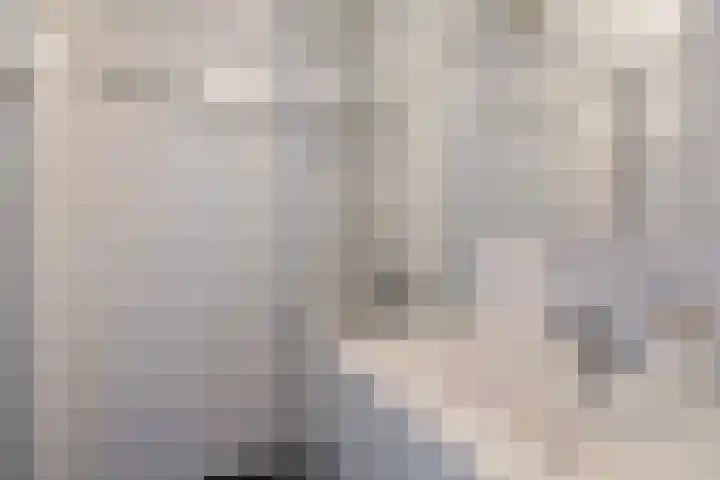 Maria in Campislaan 115 Assen thumbnail 27