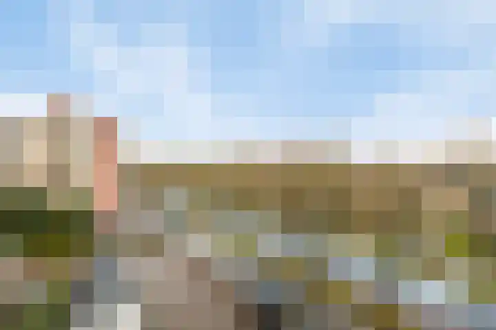 Maria in Campislaan 115 Assen thumbnail 31