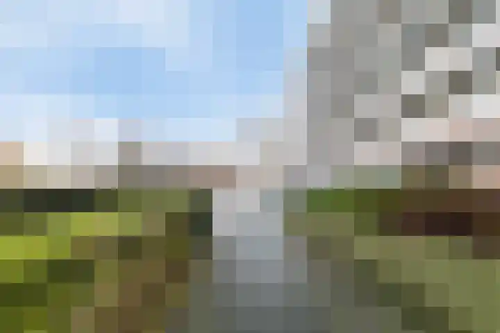 Maria in Campislaan 115 Assen thumbnail 32
