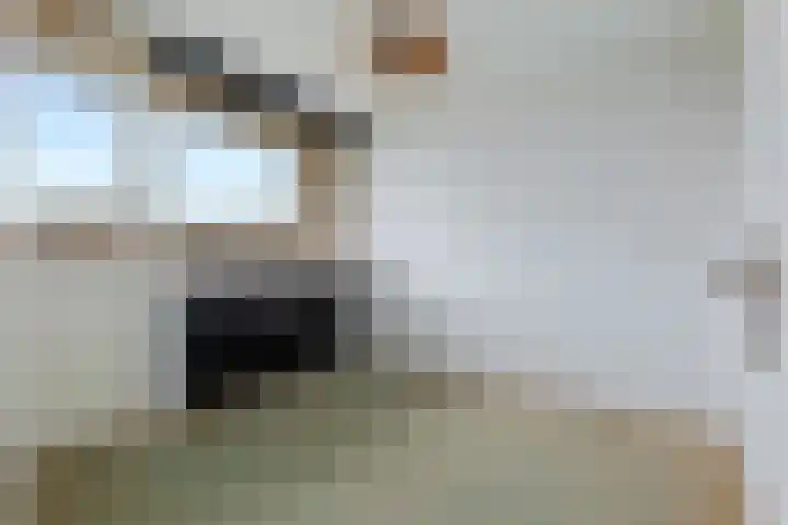Maria in Campislaan 141 Assen thumbnail 11