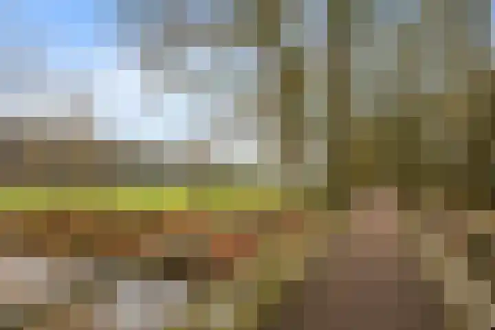 Maria in Campislaan 141 Assen thumbnail 26