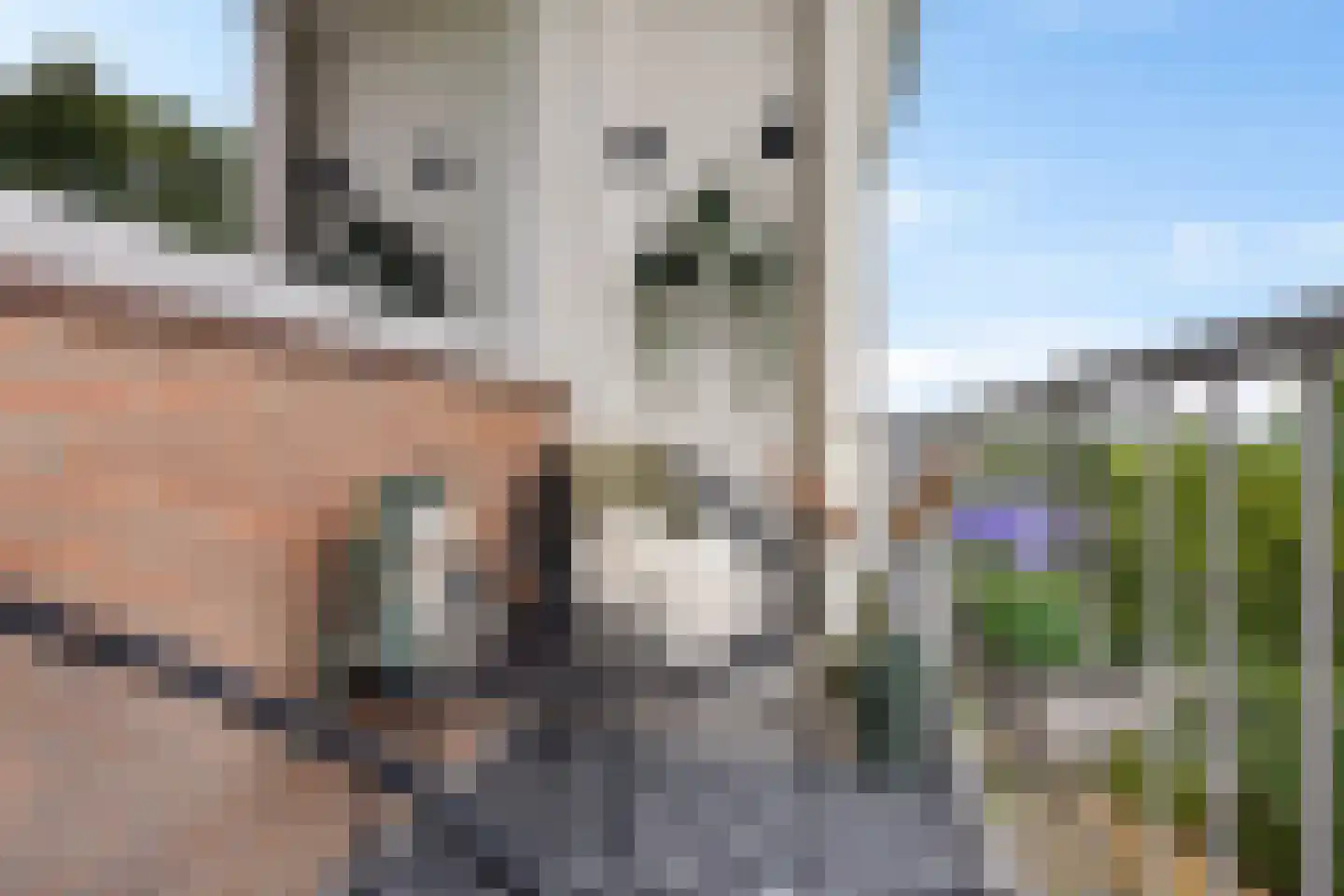 Maria in Campislaan 149 Assen thumbnail 17