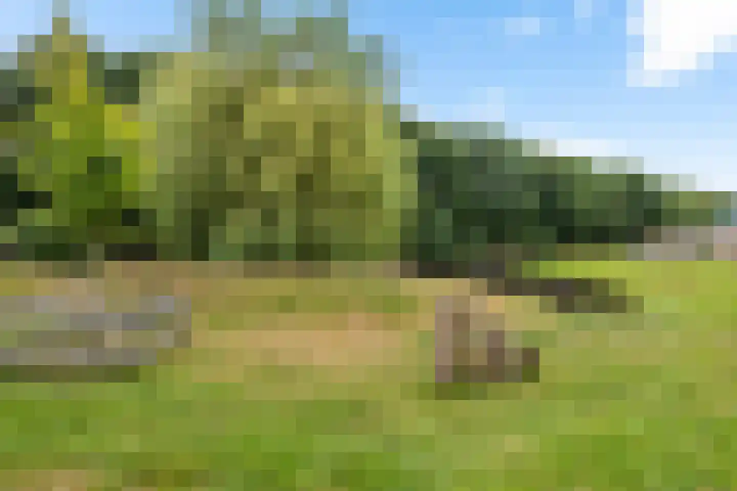 Maria in Campislaan 149 Assen thumbnail 33