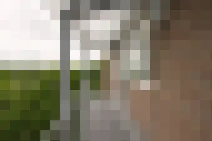 Maria in Campislaan 157 Assen thumbnail 10