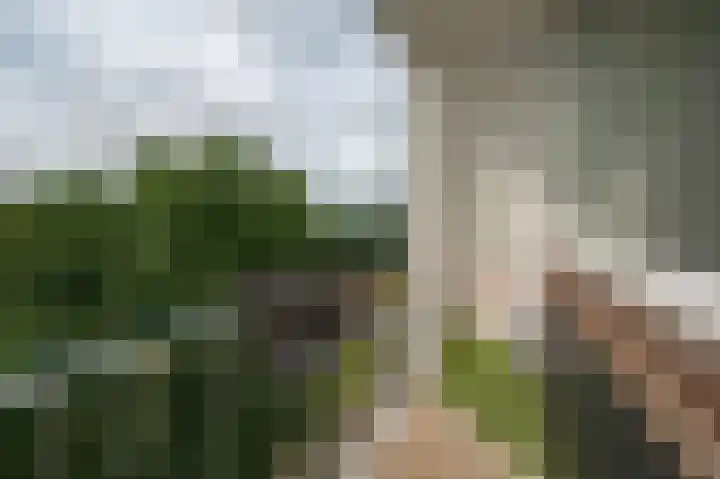 Maria in Campislaan 157 Assen thumbnail 20