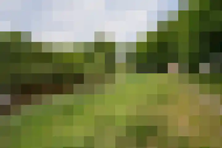 Maria in Campislaan 157 Assen thumbnail 35