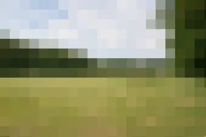 Maria in Campislaan 157 Assen thumbnail 38