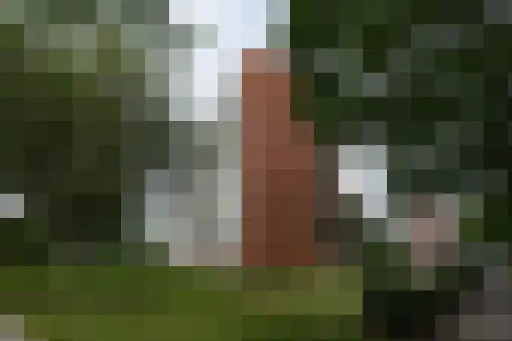 Maria in Campislaan 157 Assen thumbnail 6