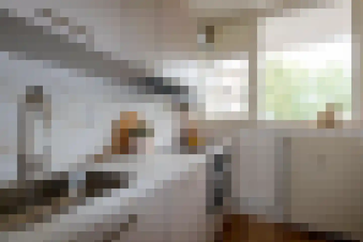 Maria in Campislaan 175 Assen thumbnail 13