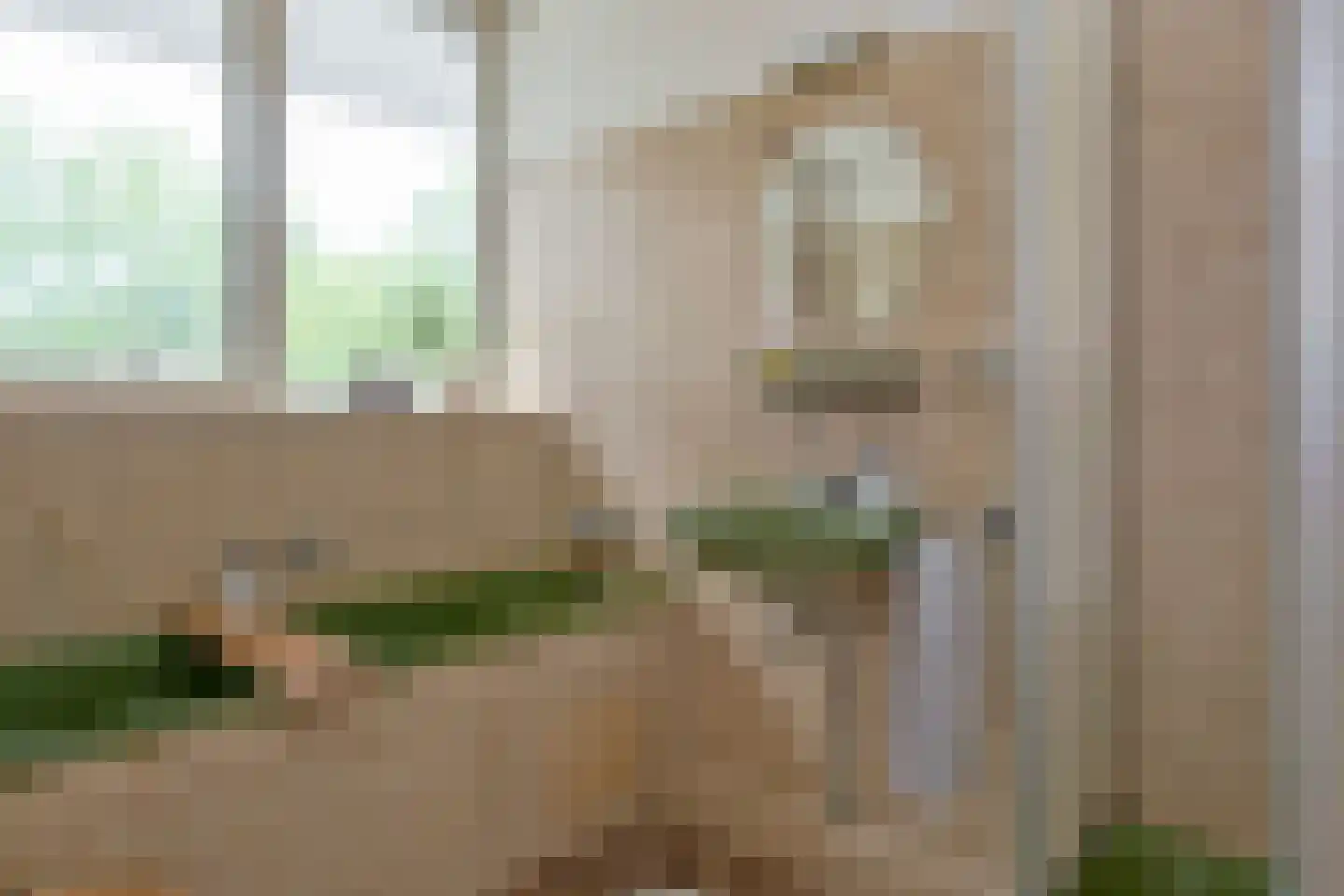 Maria in Campislaan 175 Assen thumbnail 30