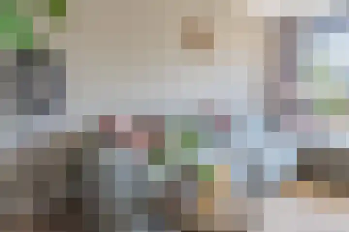 Maria in Campislaan 203 Assen thumbnail 18