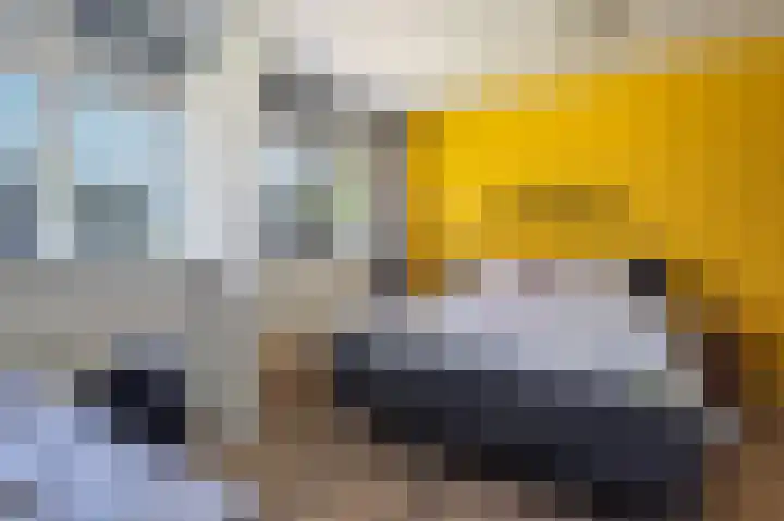 Maria in Campislaan 203 Assen thumbnail 33