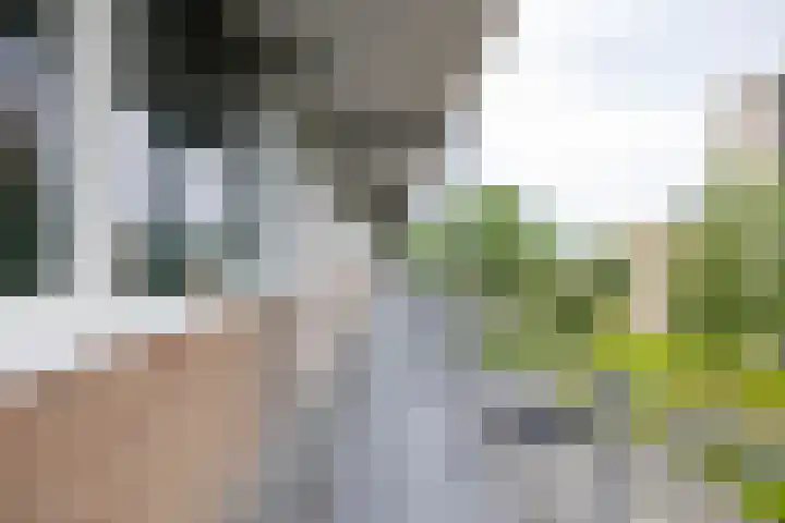 Maria in Campislaan 205 Assen thumbnail 12