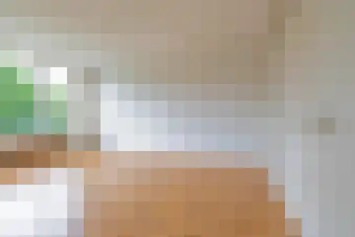 Maria in Campislaan 205 Assen thumbnail 26
