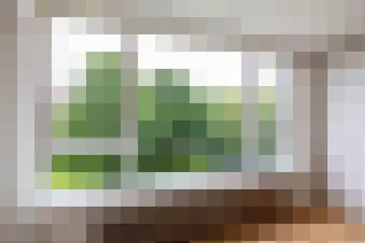 Maria in Campislaan 205 Assen thumbnail 28