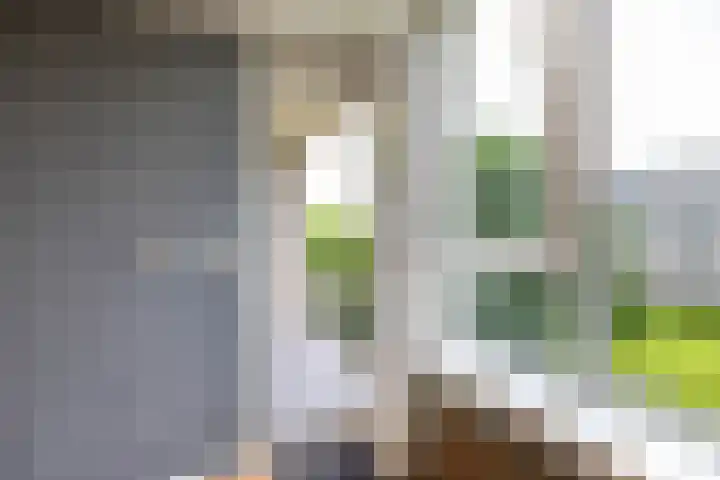 Maria in Campislaan 205 Assen thumbnail 29