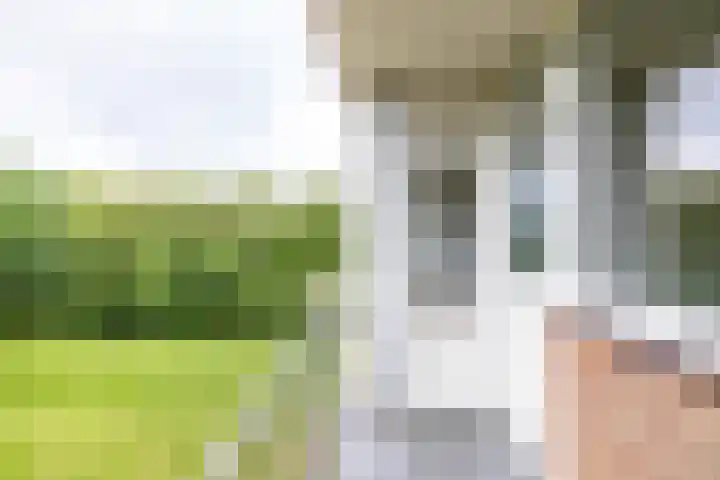 Maria in Campislaan 205 Assen thumbnail 31