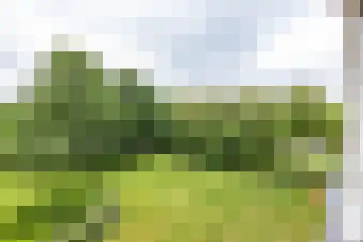 Maria in Campislaan 205 Assen thumbnail 32