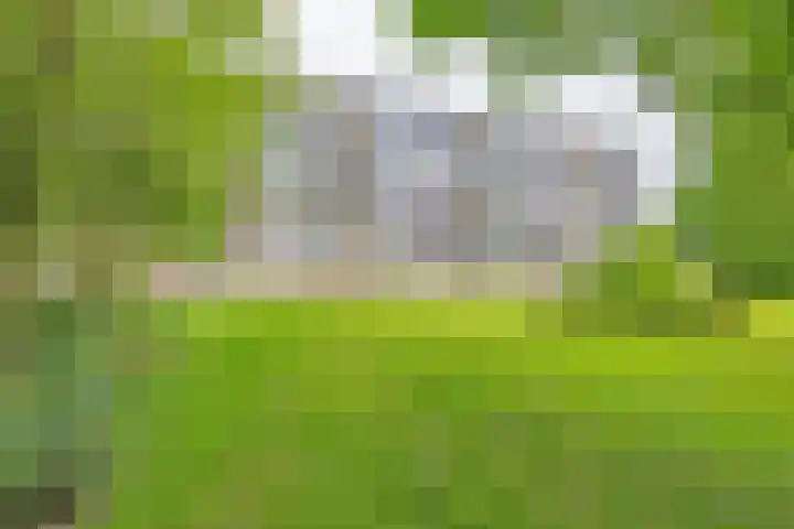 Maria in Campislaan 205 Assen thumbnail 9
