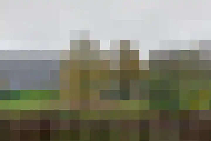 Maria in Campislaan 207 Assen thumbnail 18