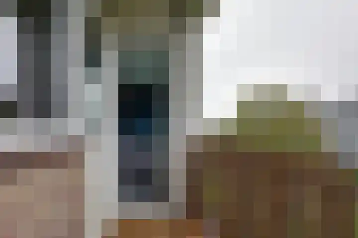Maria in Campislaan 207 Assen thumbnail 19