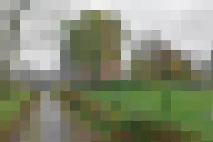 Maria in Campislaan 207 Assen thumbnail 31