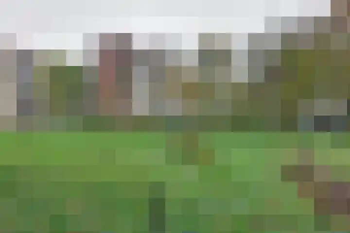Maria in Campislaan 207 Assen thumbnail 32