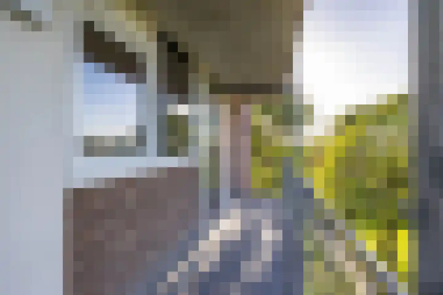 Maria in Campislaan 225 Assen thumbnail 12