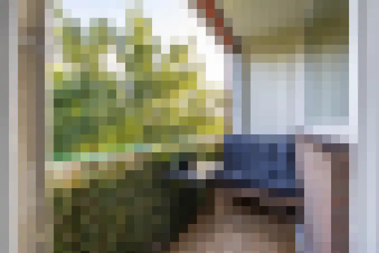 Maria in Campislaan 225 Assen thumbnail 19