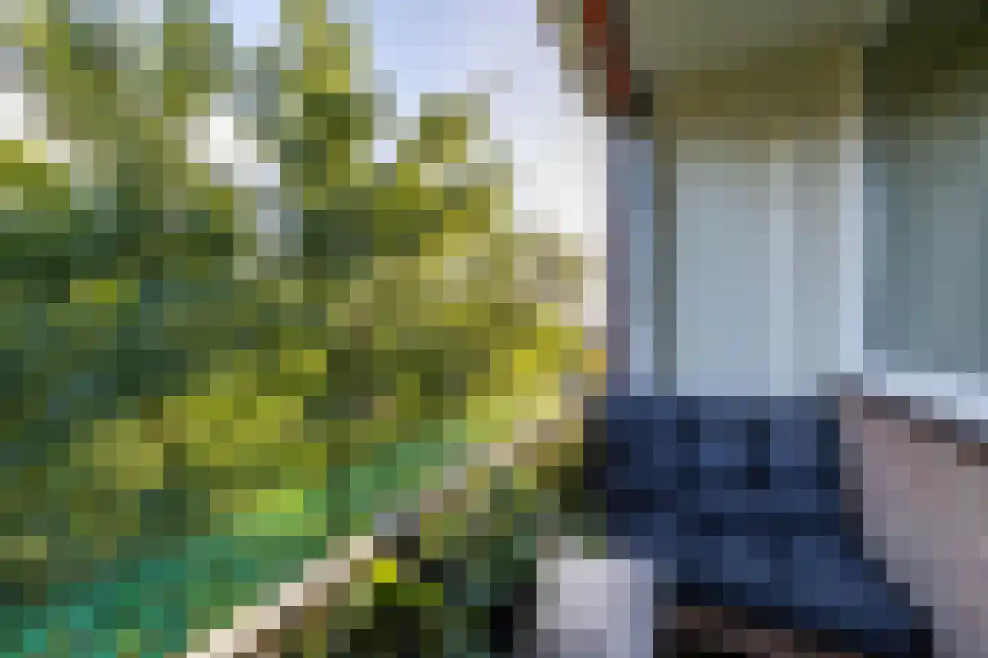 Maria in Campislaan 225 Assen thumbnail 20