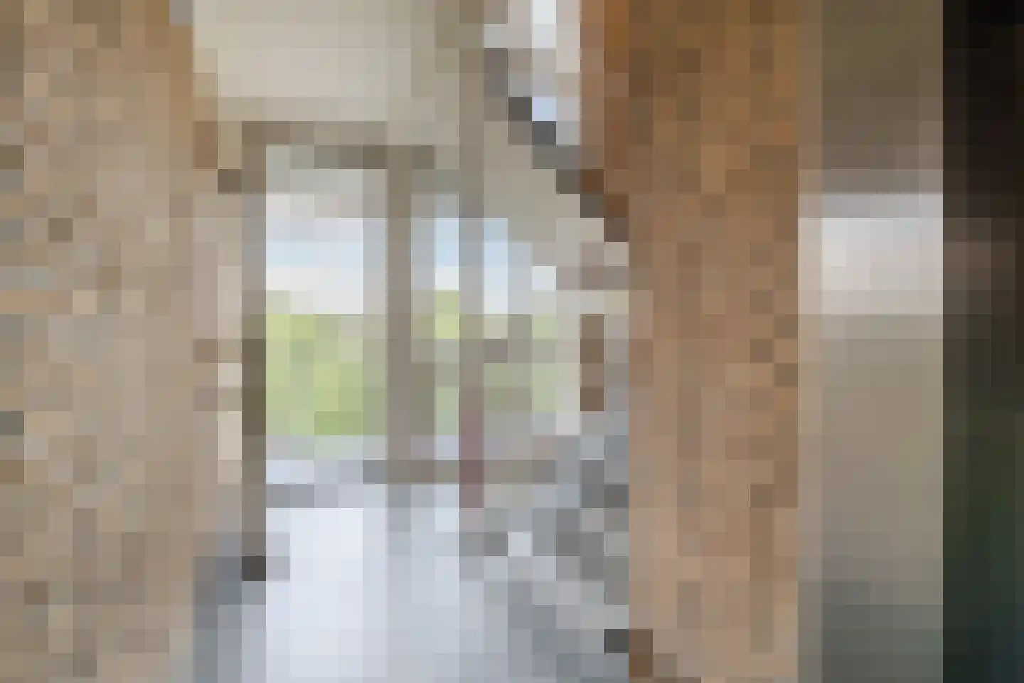 Maria in Campislaan 229 Assen thumbnail 6