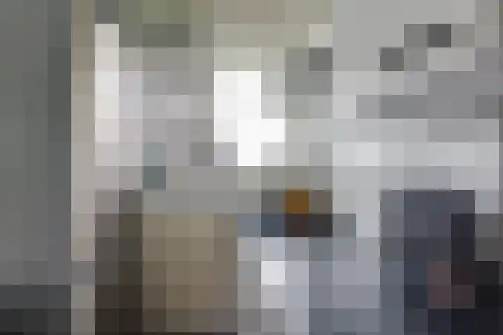 Maria in Campislaan 43 Assen thumbnail 11