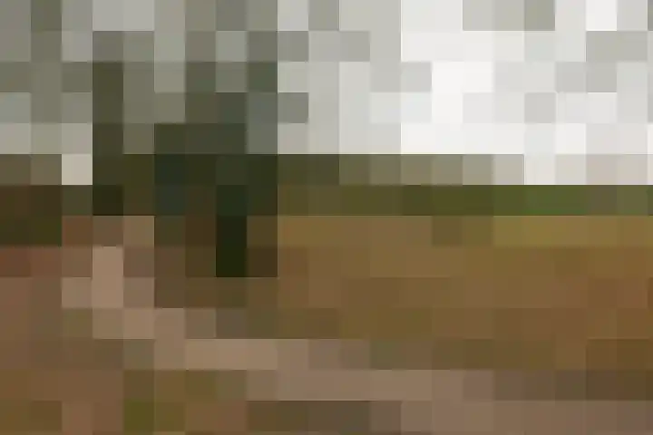 Maria in Campislaan 43 Assen thumbnail 21