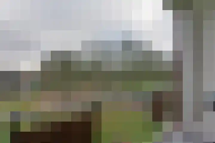 Maria in Campislaan 43 Assen thumbnail 8
