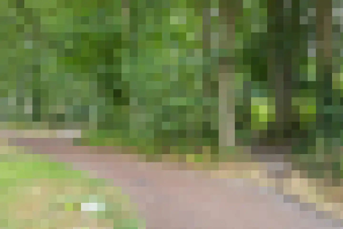 Maria in Campislaan 59 Assen thumbnail 39