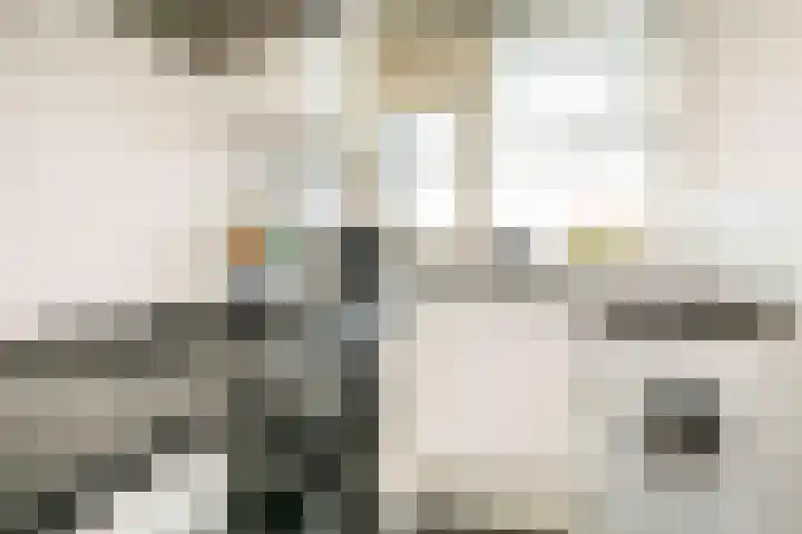 Maria in Campislaan 81 Assen thumbnail 9