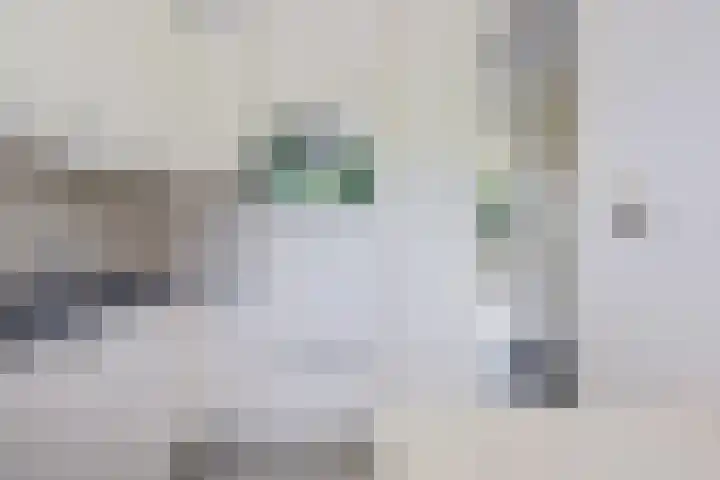 Maria in Campislaan 9 Assen thumbnail 11