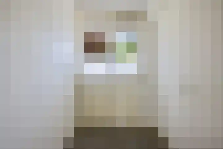 Maria in Campislaan 9 Assen thumbnail 13