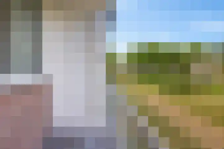 Maria in Campislaan 9 Assen thumbnail 23